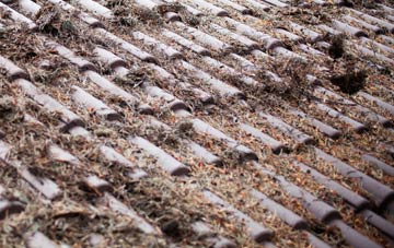 Blanefield roof cleaning companies