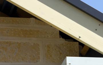 soffit repair Blanefield