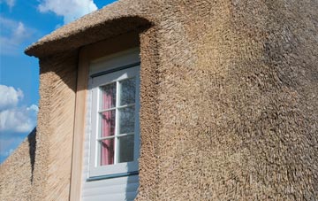 Blanefield thatch roof disadvantages