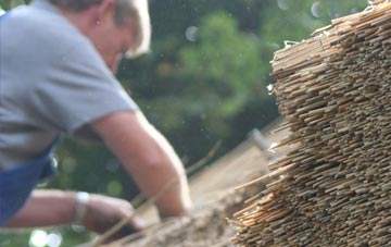 professional Blanefield thatchers