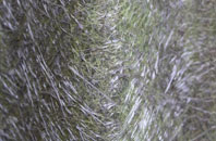 Blanefield fibreglass roof work